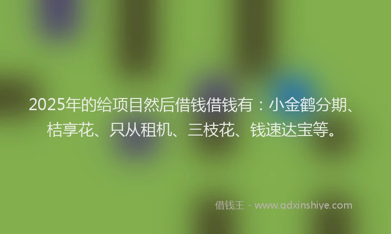 2025年的给项目然后借钱借钱有：小金鹤分期、桔享花、只从租机、三枝花、钱速达宝等。