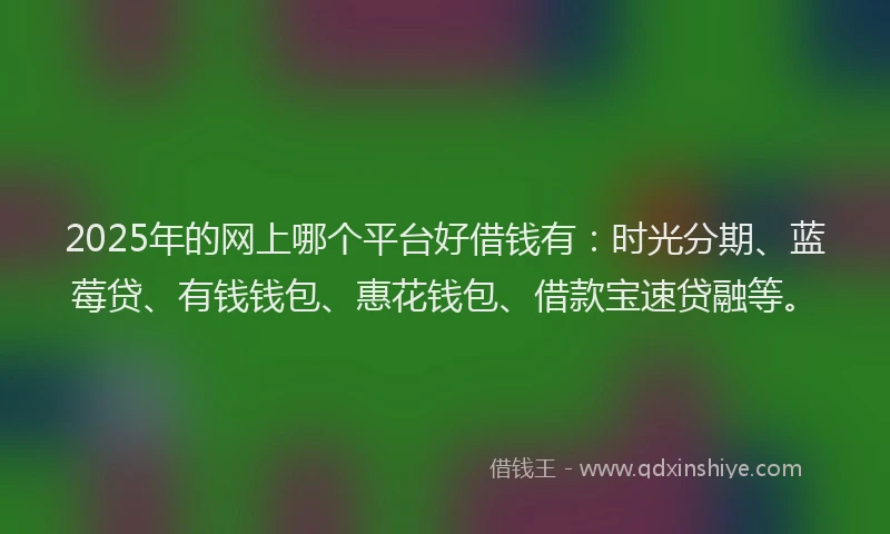 2025年的网上哪个平台好借钱有：时光分期、蓝莓贷、有钱钱包、惠花钱包、借款宝速贷融等。