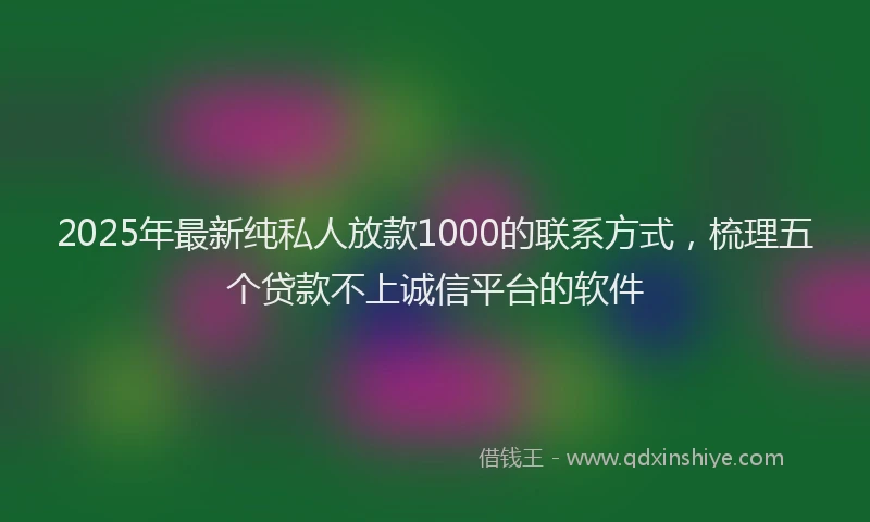 2025年最新纯私人放款1000的联系方式，梳理五个贷款不上诚信平台的软件