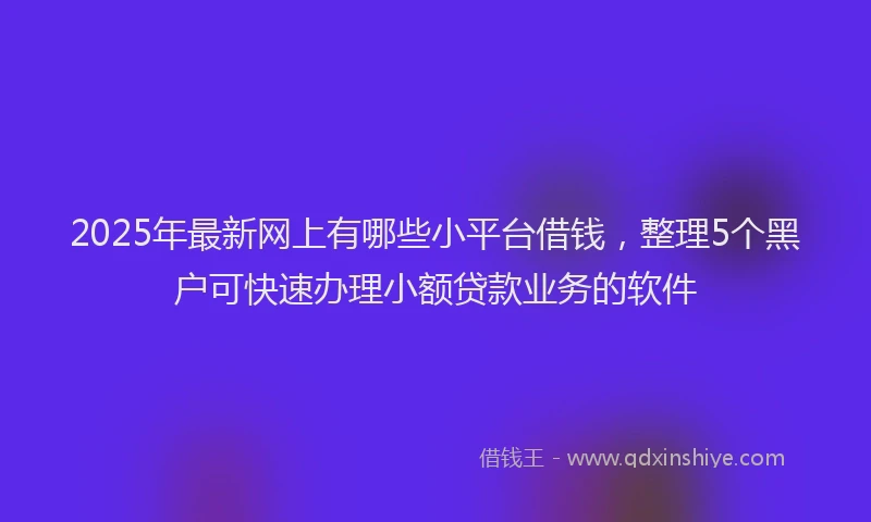 2025年最新网上有哪些小平台借钱，整理5个黑户可快速办理小额贷款业务的软件