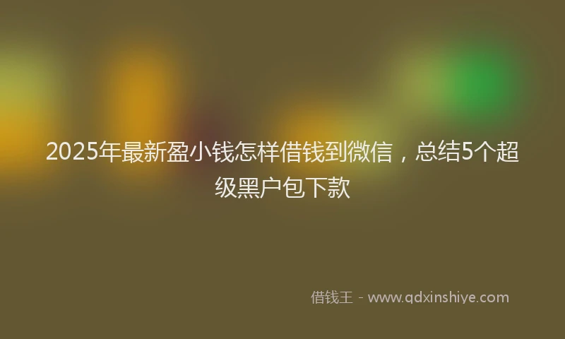 2025年最新盈小钱怎样借钱到微信，总结5个超级黑户包下款