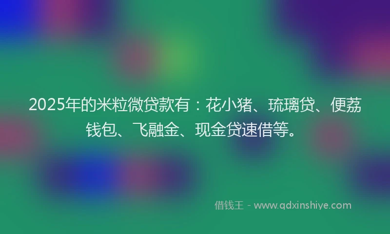 2025年的米粒微贷款有：花小猪、琉璃贷、便荔钱包、飞融金、现金贷速借等。