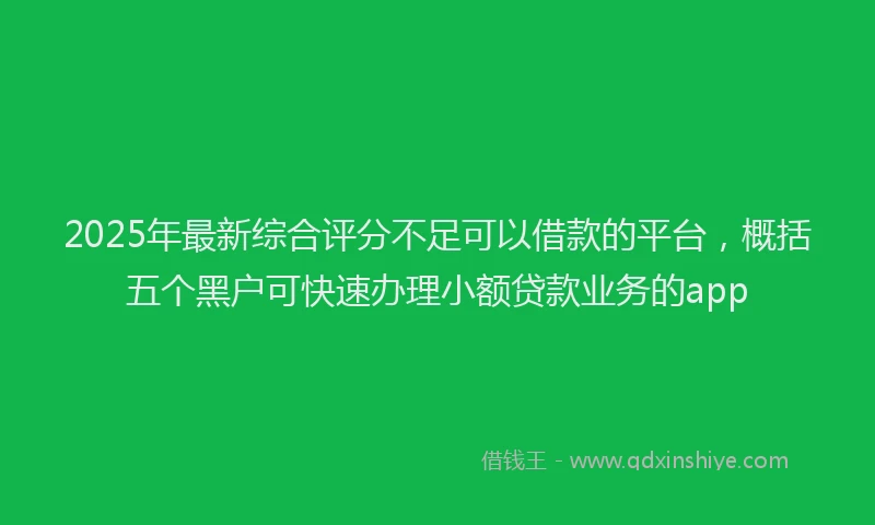 2025年最新综合评分不足可以借款的平台，概括五个黑户可快速办理小额贷款业务的app