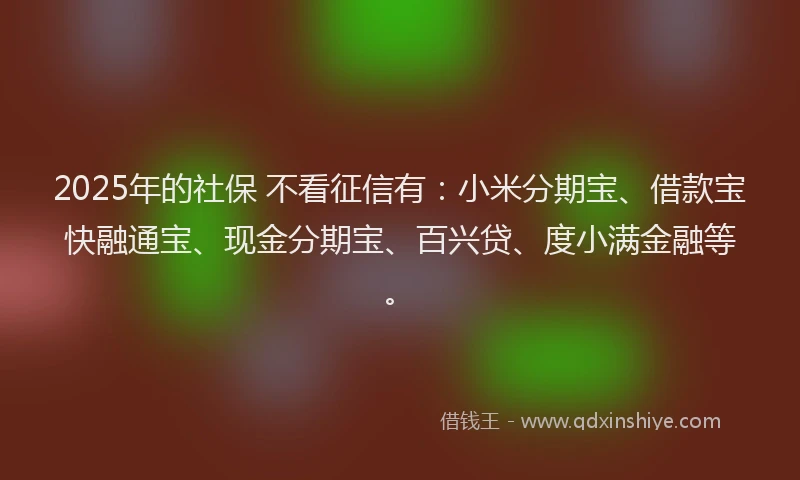 2025年的社保 不看征信有：小米分期宝、借款宝快融通宝、现金分期宝、百兴贷、度小满金融等。