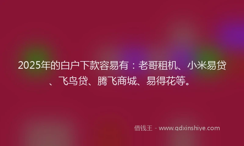 2025年的白户下款容易有：老哥租机、小米易贷、飞鸟贷、腾飞商城、易得花等。