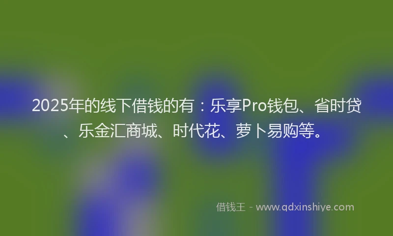 2025年的线下借钱的有：乐享Pro钱包、省时贷、乐金汇商城、时代花、萝卜易购等。