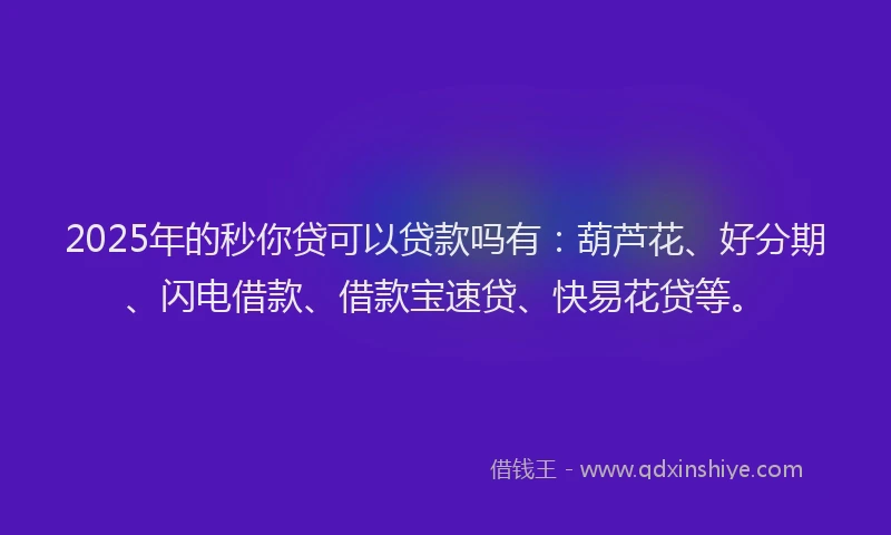2025年的秒你贷可以贷款吗有：葫芦花、好分期、闪电借款、借款宝速贷、快易花贷等。