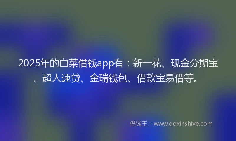 2025年的白菜借钱app有：新一花、现金分期宝、超人速贷、金瑞钱包、借款宝易借等。