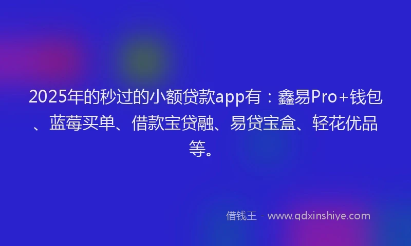 2025年的秒过的小额贷款app有：鑫易Pro+钱包、蓝莓买单、借款宝贷融、易贷宝盒、轻花优品等。