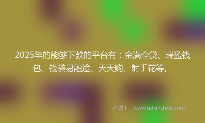 2025年的能够下款的平台有：金满仓贷、瑞盈钱包、钱袋易融途、天天购、射手花等。