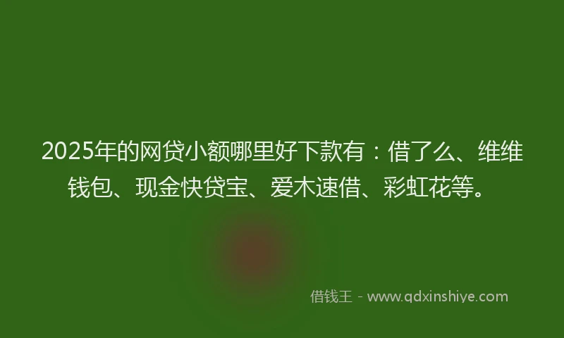 2025年的网贷小额哪里好下款有：借了么、维维钱包、现金快贷宝、爱木速借、彩虹花等。