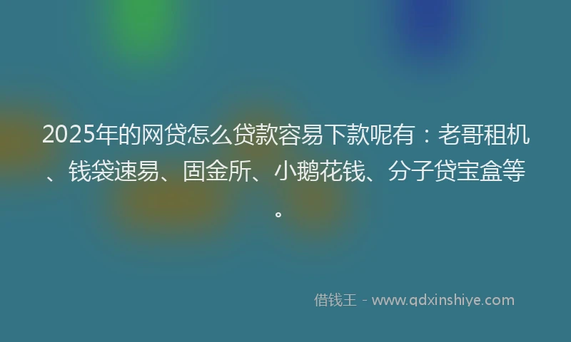 2025年的网贷怎么贷款容易下款呢有：老哥租机、钱袋速易、固金所、小鹅花钱、分子贷宝盒等。