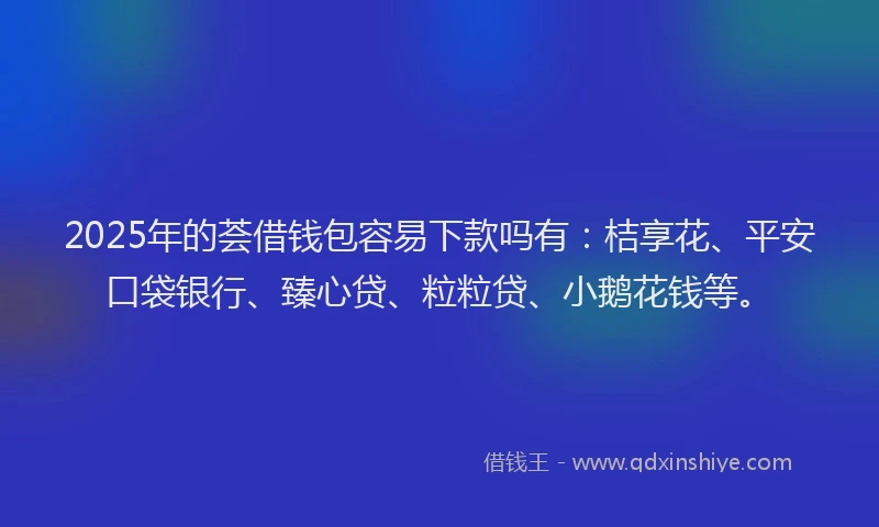 2025年的荟借钱包容易下款吗有：桔享花、平安口袋银行、臻心贷、粒粒贷、小鹅花钱等。