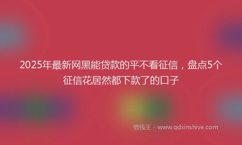 2025年最新网黑能贷款的平不看征信，盘点5个征信花居然都下款了的口子
