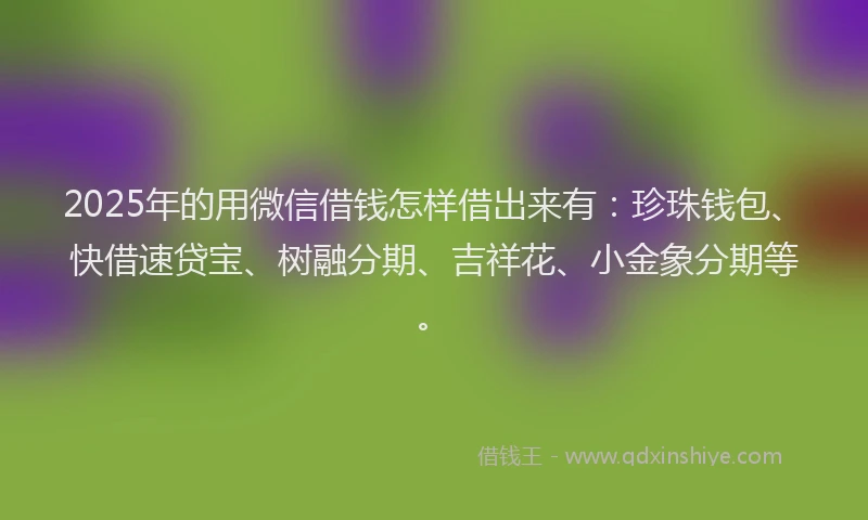 2025年的用微信借钱怎样借出来有：珍珠钱包、快借速贷宝、树融分期、吉祥花、小金象分期等。