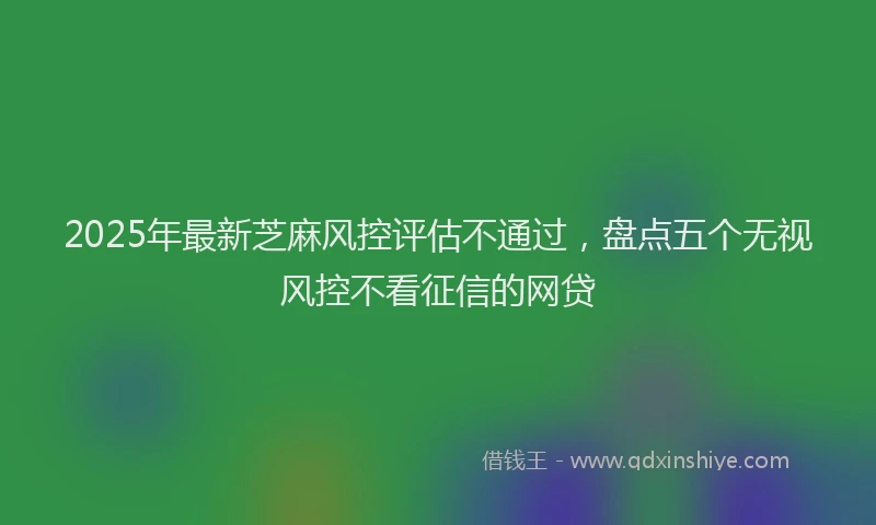 2025年最新芝麻风控评估不通过，盘点五个无视风控不看征信的网贷