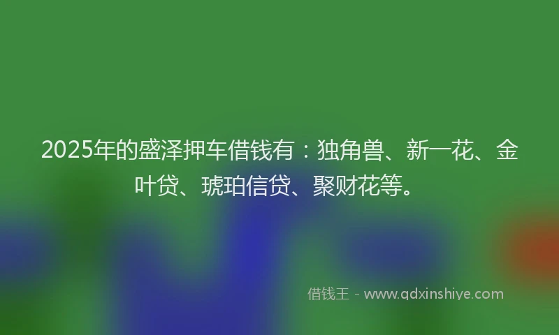 2025年的盛泽押车借钱有：独角兽、新一花、金叶贷、琥珀信贷、聚财花等。