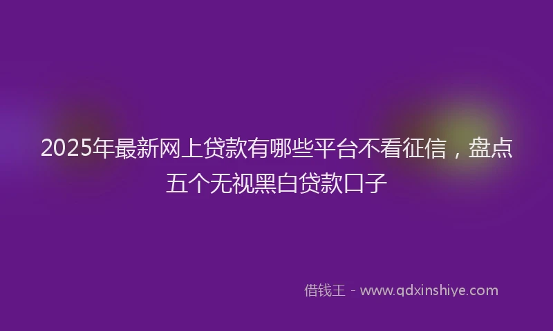 2025年最新网上贷款有哪些平台不看征信，盘点五个无视黑白贷款口子
