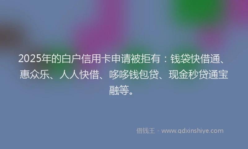 2025年的白户信用卡申请被拒有：钱袋快借通、惠众乐、人人快借、哆哆钱包贷、现金秒贷通宝融等。