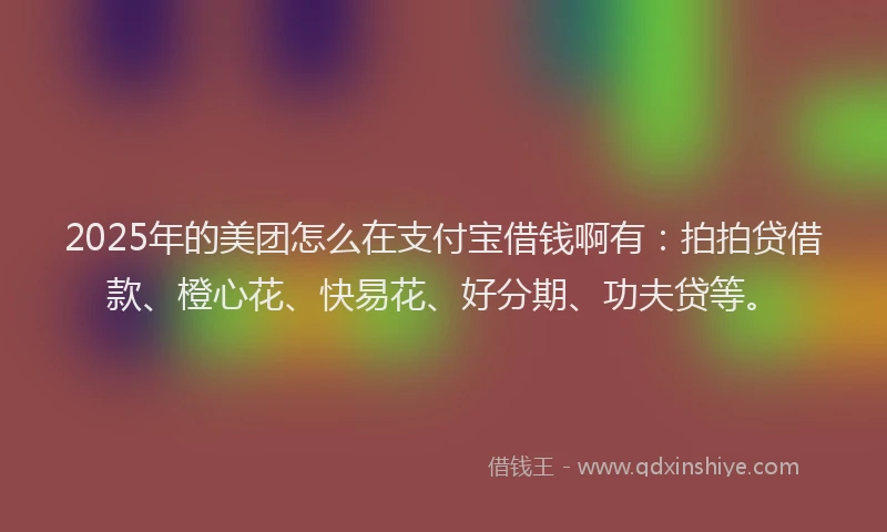 2025年的美团怎么在支付宝借钱啊有：拍拍贷借款、橙心花、快易花、好分期、功夫贷等。