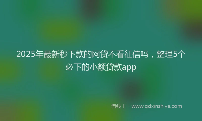 2025年最新秒下款的网贷不看征信吗，整理5个必下的小额贷款app