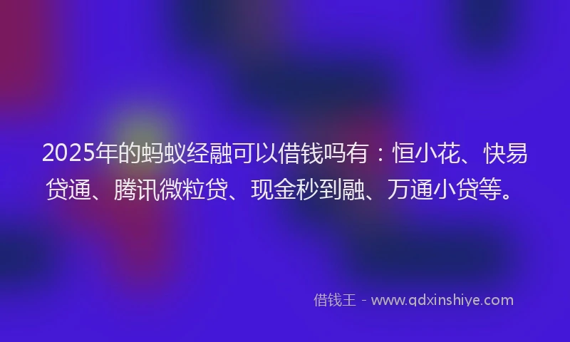 2025年的蚂蚁经融可以借钱吗有：恒小花、快易贷通、腾讯微粒贷、现金秒到融、万通小贷等。