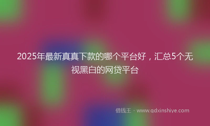 2025年最新真真下款的哪个平台好，汇总5个无视黑白的网贷平台