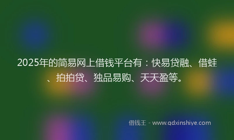 2025年的简易网上借钱平台有：快易贷融、借蛙、拍拍贷、独品易购、天天盈等。