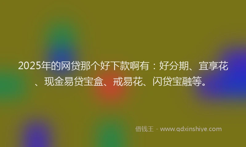 2025年的网贷那个好下款啊有：好分期、宜享花、现金易贷宝盒、戒易花、闪贷宝融等。