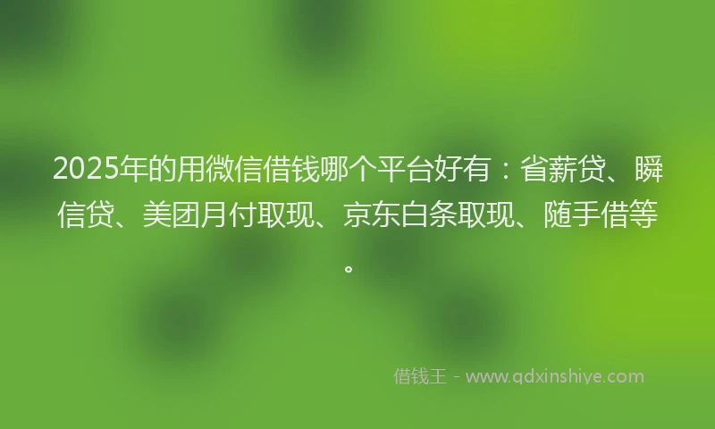 2025年的用微信借钱哪个平台好有：省薪贷、瞬信贷、美团月付取现、京东白条取现、随手借等。