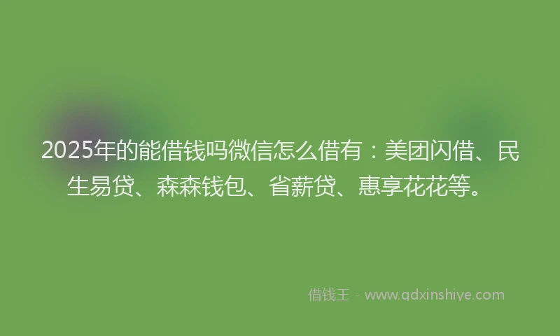 2025年的能借钱吗微信怎么借有：美团闪借、民生易贷、森森钱包、省薪贷、惠享花花等。