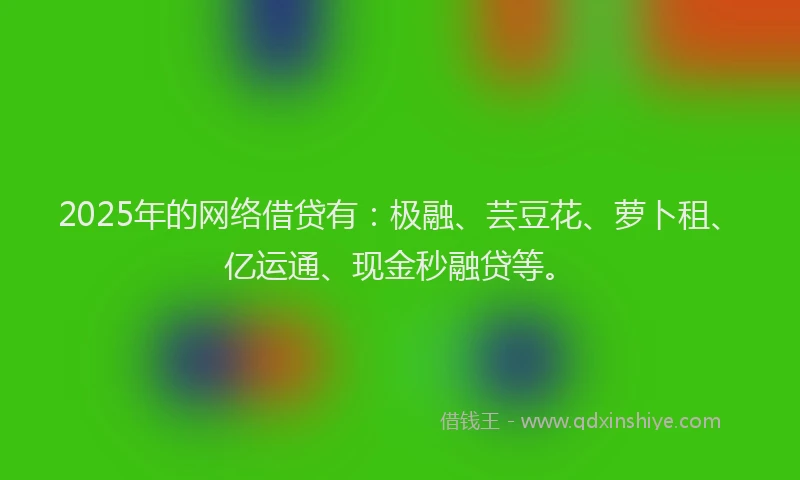2025年的网络借贷有：极融、芸豆花、萝卜租、亿运通、现金秒融贷等。