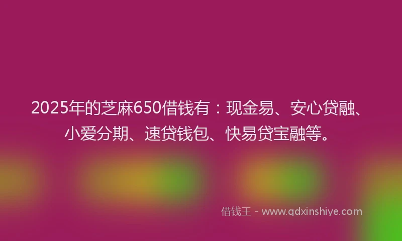 2025年的芝麻650借钱有：现金易、安心贷融、小爱分期、速贷钱包、快易贷宝融等。