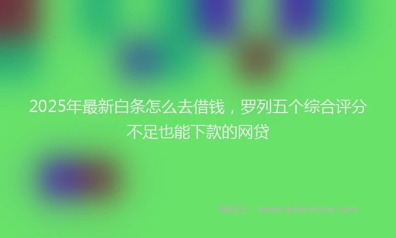2025年最新白条怎么去借钱，罗列五个综合评分不足也能下款的网贷