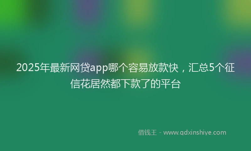 2025年最新网贷app哪个容易放款快，汇总5个征信花居然都下款了的平台