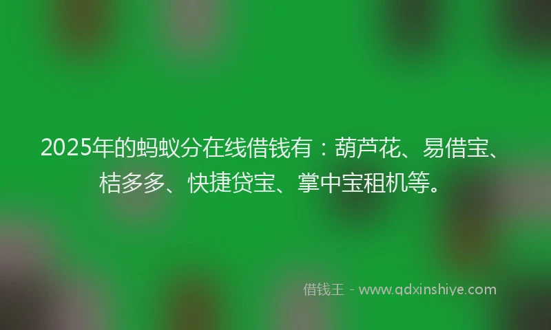 2025年的蚂蚁分在线借钱有：葫芦花、易借宝、桔多多、快捷贷宝、掌中宝租机等。