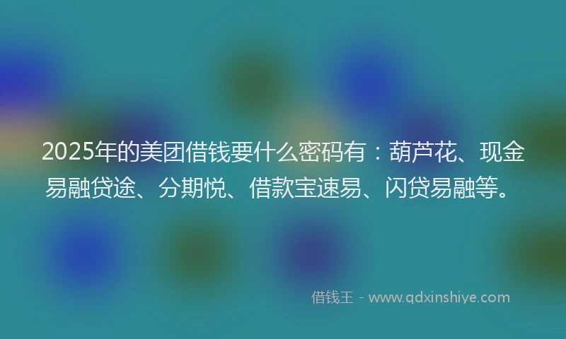 2025年的美团借钱要什么密码有：葫芦花、现金易融贷途、分期悦、借款宝速易、闪贷易融等。