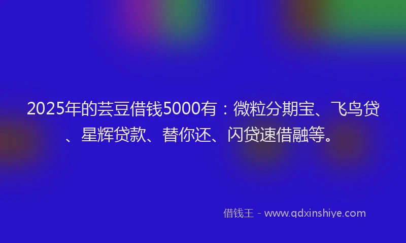 2025年的芸豆借钱5000有：微粒分期宝、飞鸟贷、星辉贷款、替你还、闪贷速借融等。