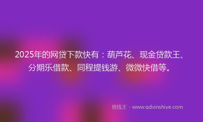 2025年的网贷下款快有：葫芦花、现金贷款王、分期乐借款、同程提钱游、微微快借等。