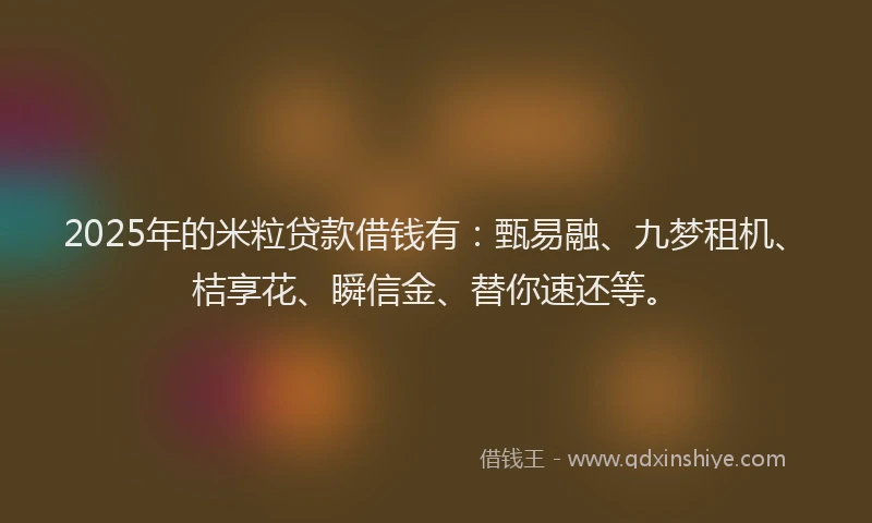 2025年的米粒贷款借钱有：甄易融、九梦租机、桔享花、瞬信金、替你速还等。