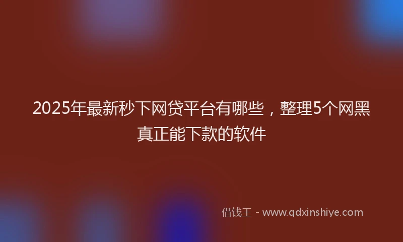2025年最新秒下网贷平台有哪些，整理5个网黑真正能下款的软件