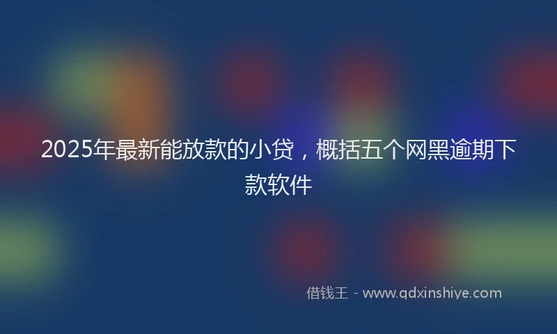 2025年最新能放款的小贷，概括五个网黑逾期下款软件