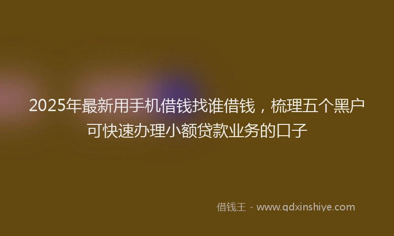 2025年最新用手机借钱找谁借钱，梳理五个黑户可快速办理小额贷款业务的口子