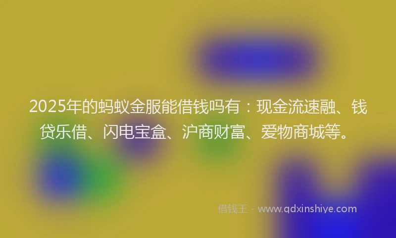 2025年的蚂蚁金服能借钱吗有：现金流速融、钱贷乐借、闪电宝盒、沪商财富、爱物商城等。