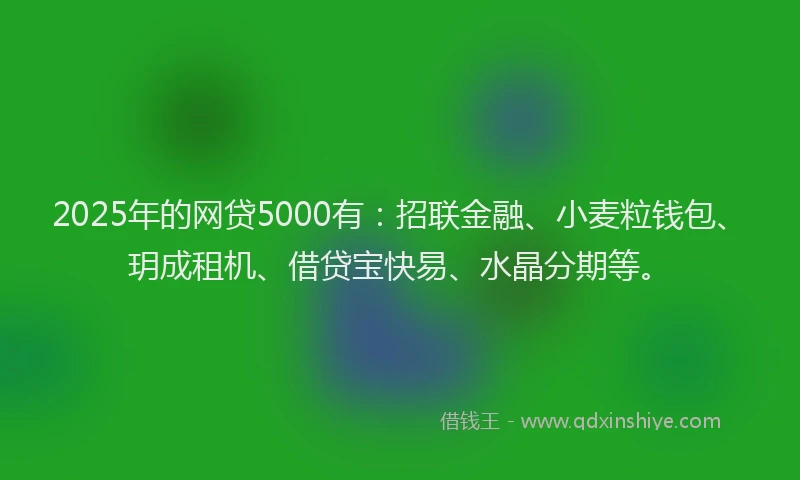 2025年的网贷5000有：招联金融、小麦粒钱包、玥成租机、借贷宝快易、水晶分期等。