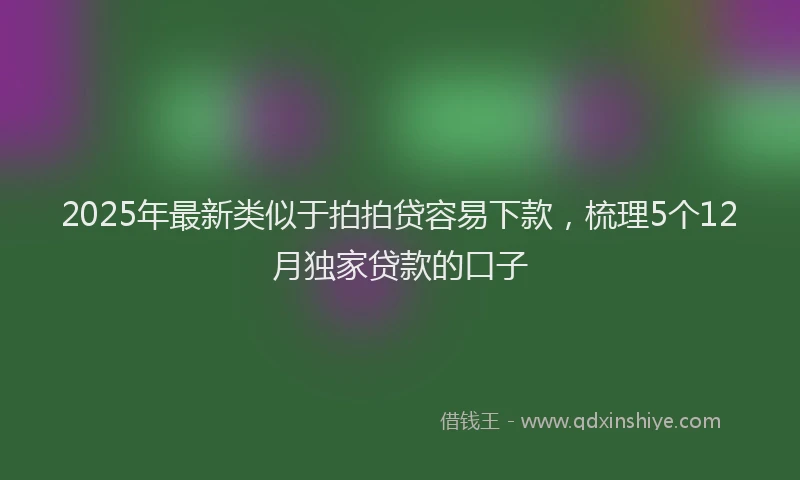 2025年最新类似于拍拍贷容易下款，梳理5个12月独家贷款的口子