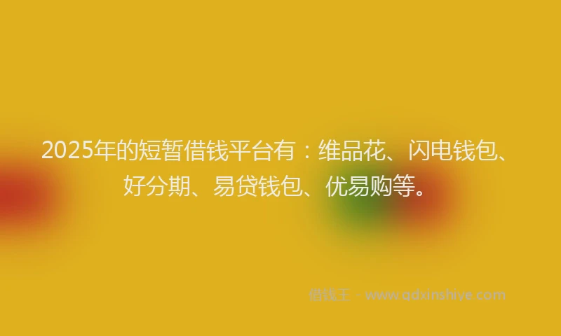 2025年的短暂借钱平台有：维品花、闪电钱包、好分期、易贷钱包、优易购等。