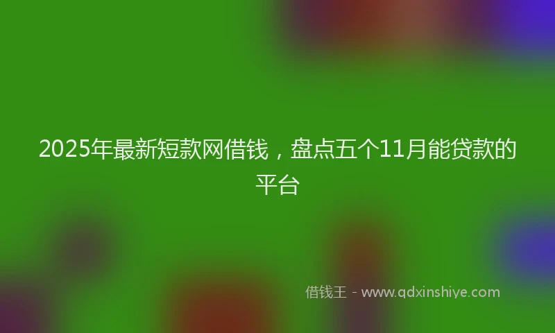 2025年最新短款网借钱，盘点五个11月能贷款的平台