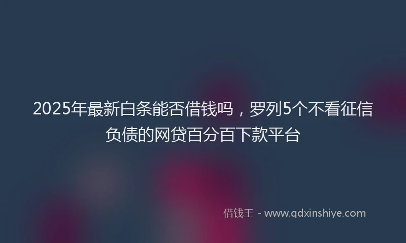 2025年最新白条能否借钱吗，罗列5个不看征信负债的网贷百分百下款平台