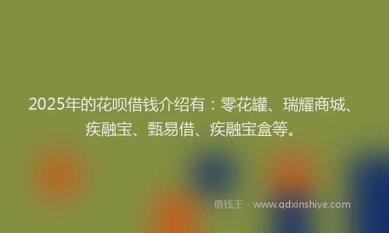2025年的花呗借钱介绍有：零花罐、瑞耀商城、疾融宝、甄易借、疾融宝盒等。